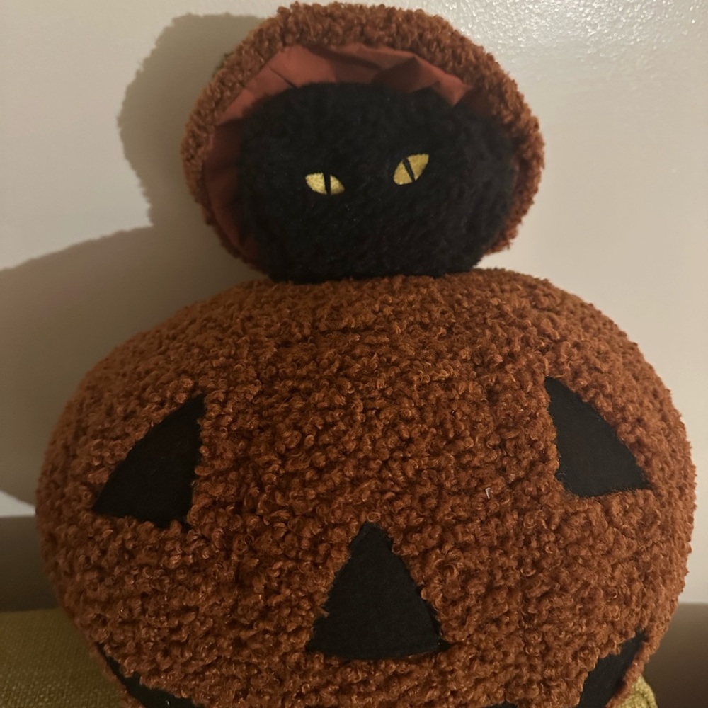 🐈⬛ NWT Peek A Boo Black Cat Pillow by Pottery Barn- Halloween - Picture 5 of 7